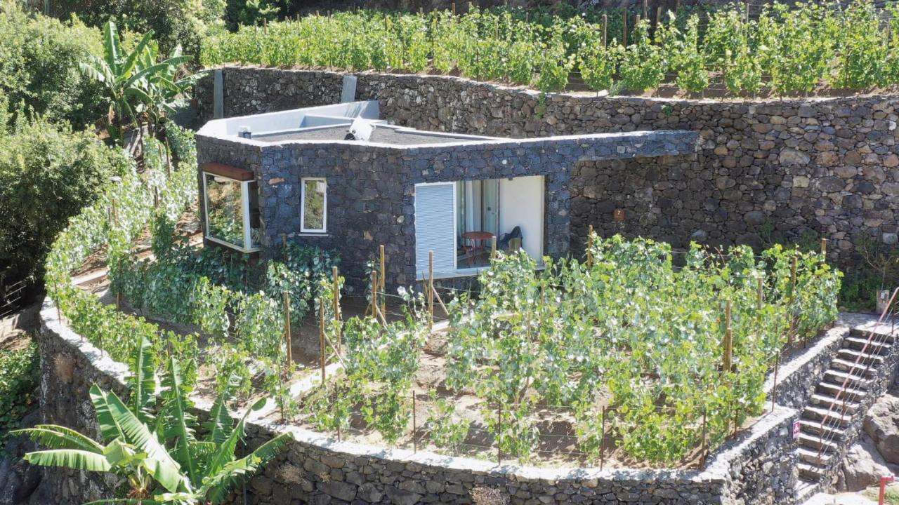Socalco Nature Calheta Calheta  Exterior photo